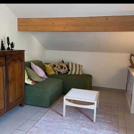 Chez Peggy & Victor - Appartement 4/5 Personnes Naves-Parmelan 外观 照片